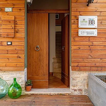 Lotus House-2